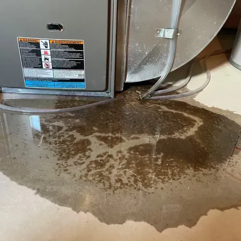 Appliance Leak Cleanup in Rantoul, IL